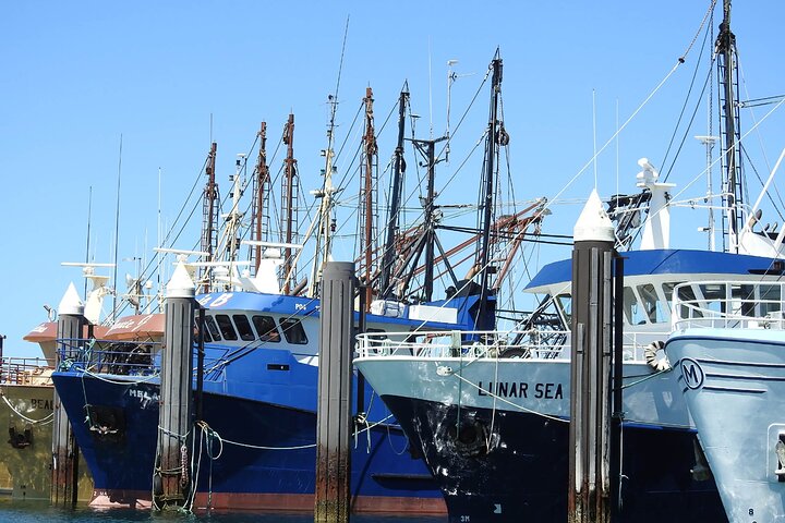  Maitland Accommodation