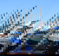 One Day Port Lincoln Tour - Tasting Eyre - Maitland Accommodation