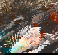 Springbrook andTamborine Rainforest Tour Incl Natural Bridge and Glow Worm Cave - Maitland Accommodation