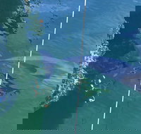 Dolphin Cruise from Adelaide with Optional Dolphin Swim - Maitland Accommodation