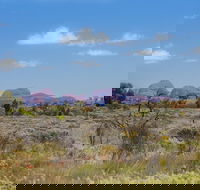 Overnight Uluru Ayers Rock Small-Group Camping Tour - Maitland Accommodation