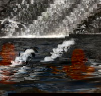 3 Day 4WD Dragonfly Dreaming Top End Safari - Maitland Accommodation