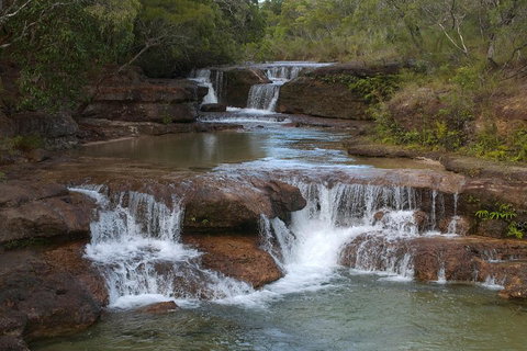 3 Day 4WD Dragonfly Dreaming Top End Safari - Maitland Accommodation 3