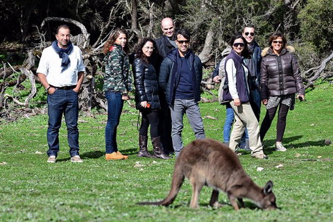 2-Day Kangaroo Island 4WD Small-Group Tour From Adelaide - Maitland Accommodation 1