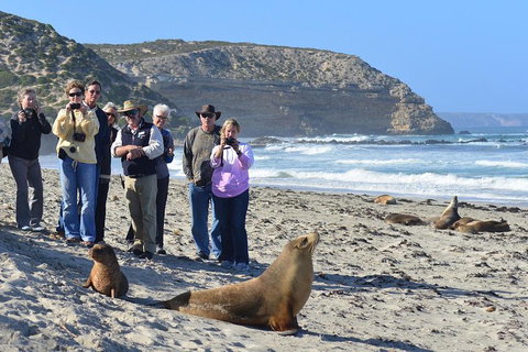 2-Day Kangaroo Island 4WD Small-Group Tour From Adelaide - Maitland Accommodation 3