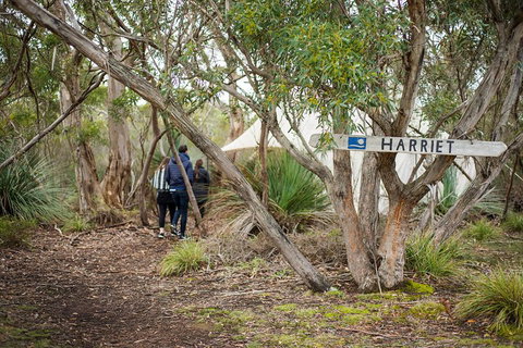 2-Day Kangaroo Island 4WD Small-Group Tour From Adelaide - Maitland Accommodation 5