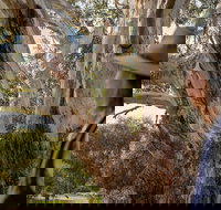 NEW TOUR - Kangaroo Island Road to Recovery Tour 1 Day/1 Night - Maitland Accommodation