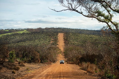 NEW TOUR - Kangaroo Island Road To Recovery Tour (1 Day/1 Night) - Maitland Accommodation 2
