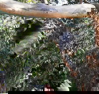 Small-Group Great Ocean Road Day Trip from Melbourne - Maitland Accommodation