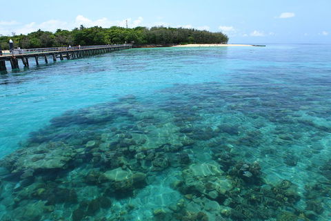 Cairns City Sights And Surrounds Tour - Maitland Accommodation 1