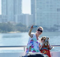 Lunch Buffet Cruise on the Gold Coast - Maitland Accommodation