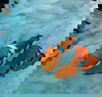 Seastar Luxury Outer Great Barrier Reef Island and Reef Tour from Cairns - Maitland Accommodation