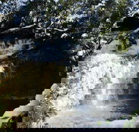 Cradle Mountain Day Tour from Launceston Including Lunch - Maitland Accommodation