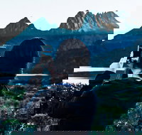 Cradle Mountain Park Explorer Guided Tour - Maitland Accommodation