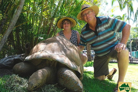 Small-Group Australia Zoo Day Trip From Brisbane - Maitland Accommodation 1