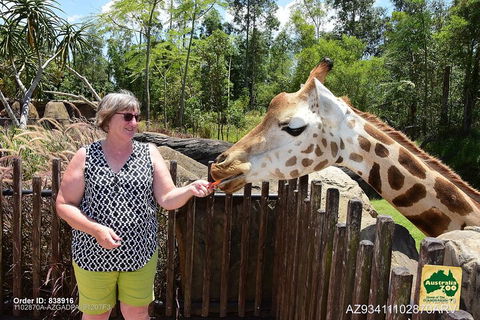 Small-Group Australia Zoo Day Trip From Brisbane - Maitland Accommodation 2
