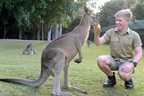 Small-Group Australia Zoo Day Trip From Brisbane - Maitland Accommodation 4