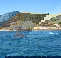 Kayaking with Dolphins in Byron Bay Guided Tour - Maitland Accommodation