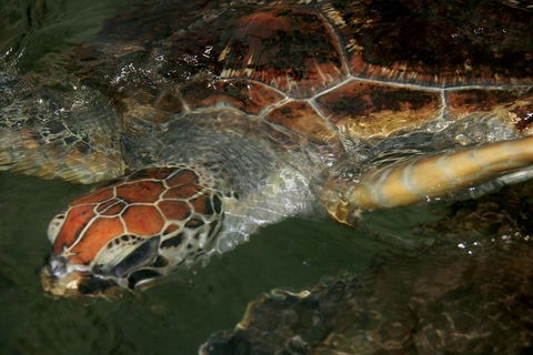 Cape Leveque 4WD Tour From Broome With Optional Return Flight - Maitland Accommodation 2