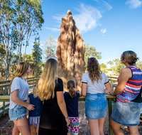 Litchfield National Park Waterfalls and Wildlife Tour from Darwin - Maitland Accommodation