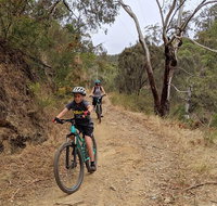 Mount Lofty Descent Bike Tour from Adelaide - Maitland Accommodation