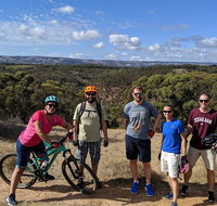 McLaren Vale Wine Tour by Bike - Maitland Accommodation