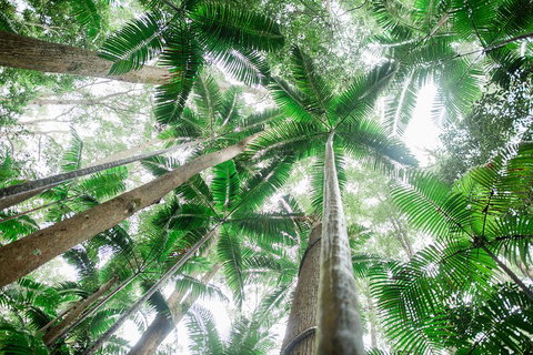 Fraser Explorer K'gari 2-Day Tour - Maitland Accommodation 2