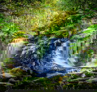 Day Tour in Mt. Field Mt. Wellington Bonorong Wildlife Sanctuary and Richmond - Maitland Accommodation