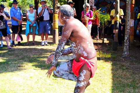 Tiwi By Design Day Tour - Maitland Accommodation 5