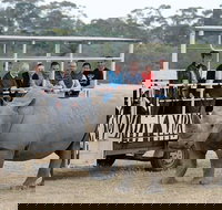 Off-Road Safari at Werribee Open Range Zoo - Maitland Accommodation