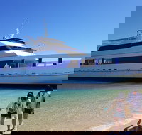 Moreton Island Day Trip Kayak Snorkel  Sandboard frm Brisbane or Gold Coast - Maitland Accommodation