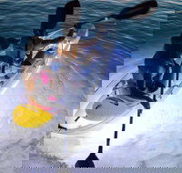 2-Day Moreton Island Tour from Brisbane or Gold Coast with Optional Nighttime Kayaking - Maitland Accommodation