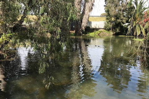 Perth East Foreshore And City Segway Tour - Maitland Accommodation 1