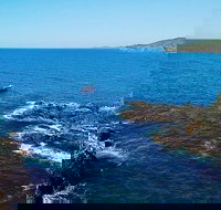 Julian Rocks Byron Bay Cruise - Maitland Accommodation