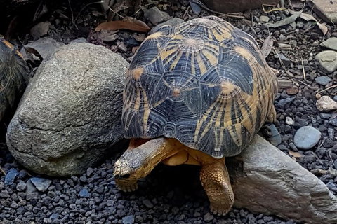 Hartley's Crocodile Adventures General Entry Ticket - Maitland Accommodation 2