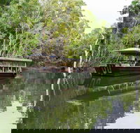 Hartley's Crocodile Adventures Breakfast with the Koalas - Maitland Accommodation