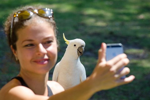 Small-Group Great Ocean Road Experience And Surf Coast Tour - Maitland Accommodation 3
