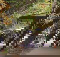 Adelaide Highlights Hahndorf  McLaren Vale Wine Tasting and Sightseeing Tour - Maitland Accommodation