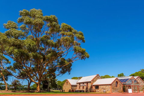 McLaren Vale And Glenelg Wine Tasting And Sightseeing (Half-day Afternoon) - Maitland Accommodation 5