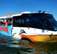 Express Jet Boat Ride  Aquaduck - Maitland Accommodation