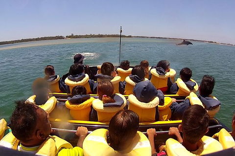 Jet Boat Express Ride - 30mins - Maitland Accommodation 5