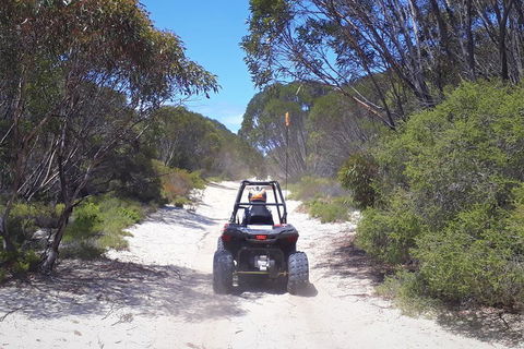 Kangaroo Island Quad Bike (ATV) Tours - Maitland Accommodation 4