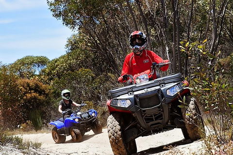 Kangaroo Island Quad Bike (ATV) Tours - Maitland Accommodation 5