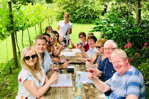 Mount Tamborine Wine Tasting Tour From Brisbane Or The Gold Coast - Maitland Accommodation 5