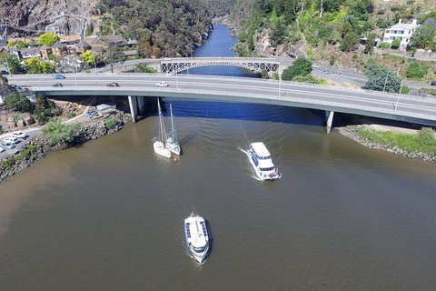 2.50 Hour Afternoon Discovery Cruise Including Cataract Gorge Departing At 3 Pm - Maitland Accommodation 1