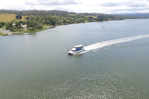 2.50 Hour Afternoon Discovery Cruise Including Cataract Gorge Departing At 3 Pm - Maitland Accommodation 4