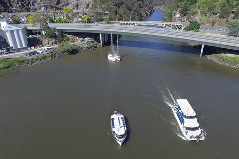 2.50 Hour Afternoon Discovery Cruise Including Cataract Gorge Departing At 3 Pm - Maitland Accommodation 5
