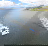 2.5 hour Afternoon Discovery Cruise including Cataract Gorge departs at 1 30 pm - Maitland Accommodation