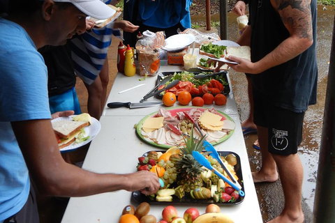 Atherton Tablelands Waterfalls Tour From Cairns - Maitland Accommodation 2