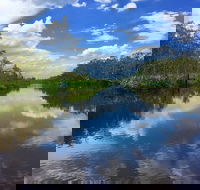 Noosa Everglades Serenity Cruise  Highlights Tour Inc. Lunch  Cruise - Maitland Accommodation